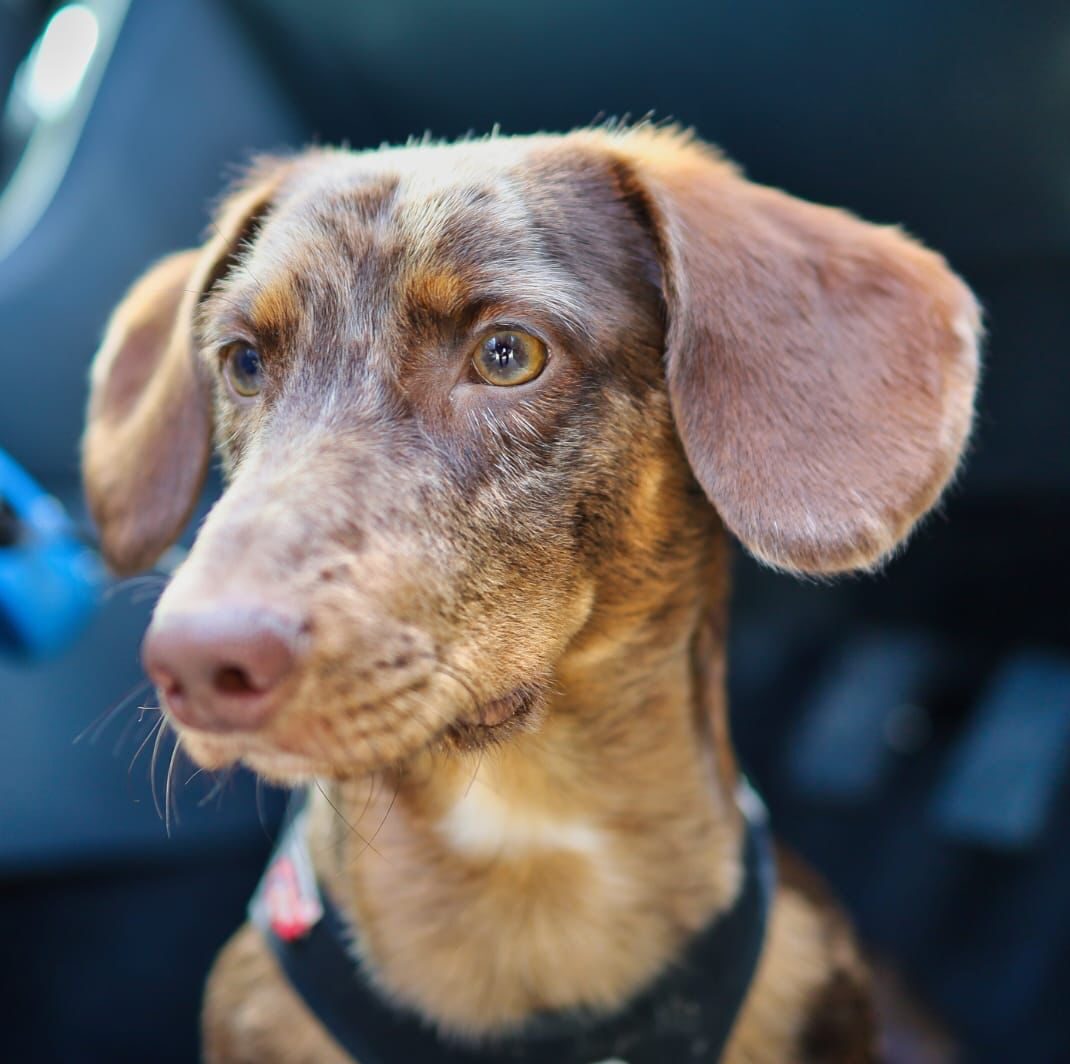 WhatsApp Image 2025 10 30 at 16.41.17 8 e1763044760128